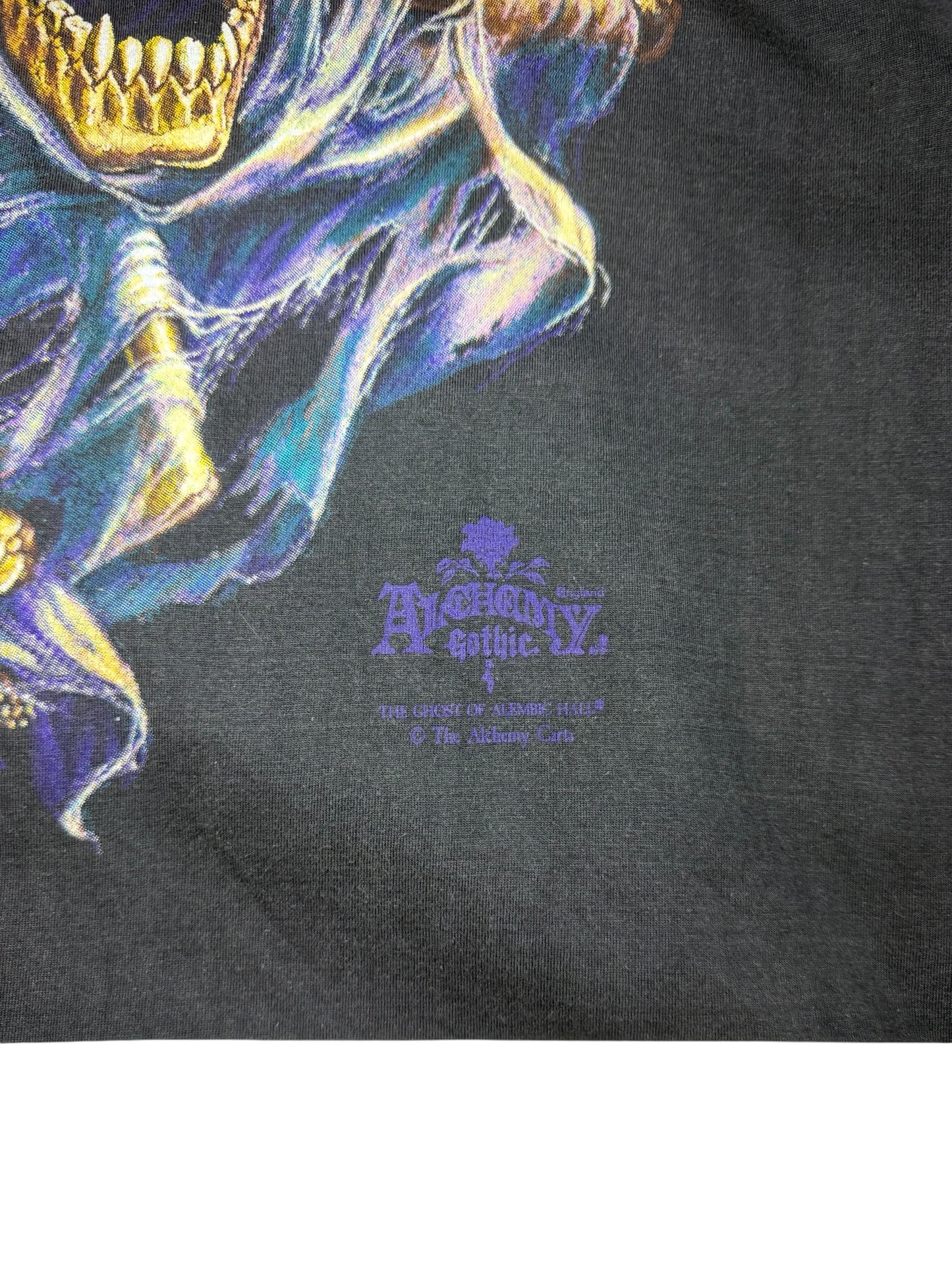 SCREEN STARS The Ghost of Alembic Hall Vintage Long Sleeve T-shirt Tシャツ ロンT
